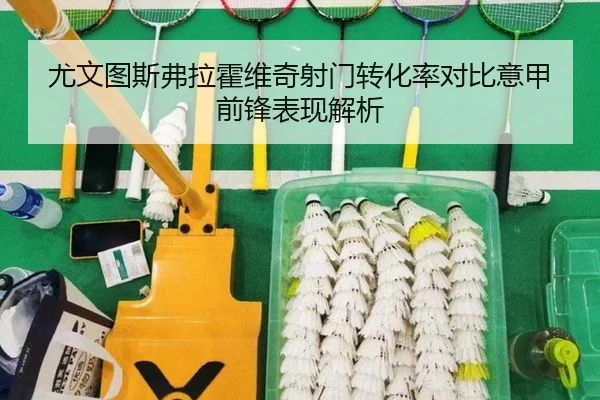 尤文图斯弗拉霍维奇射门转化率对比意甲前锋表现解析